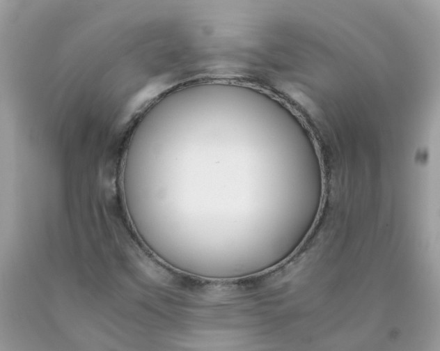 X0000090431451200707272121