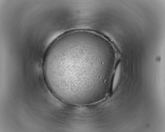 X0000090431452200707272121