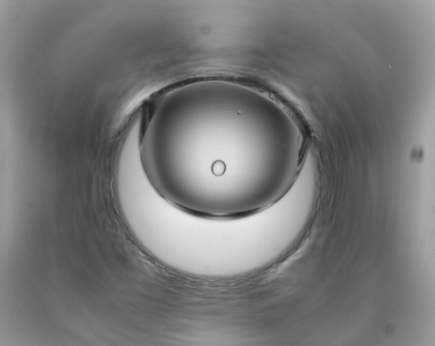 X0000090431453200707272121