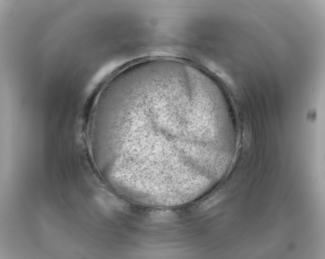 X0000090431454200707272121