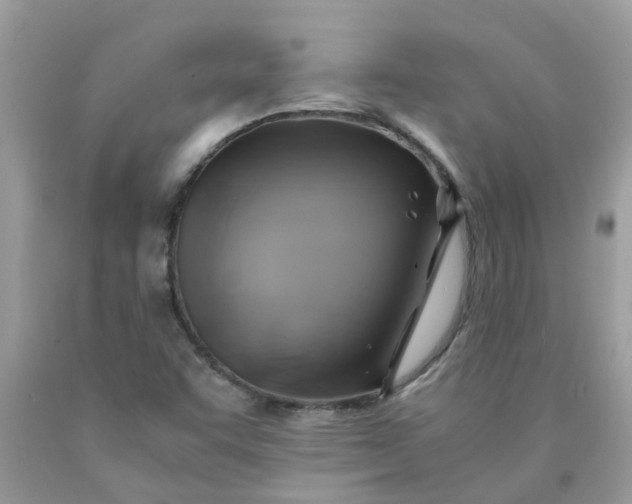 X0000090431455200707272121