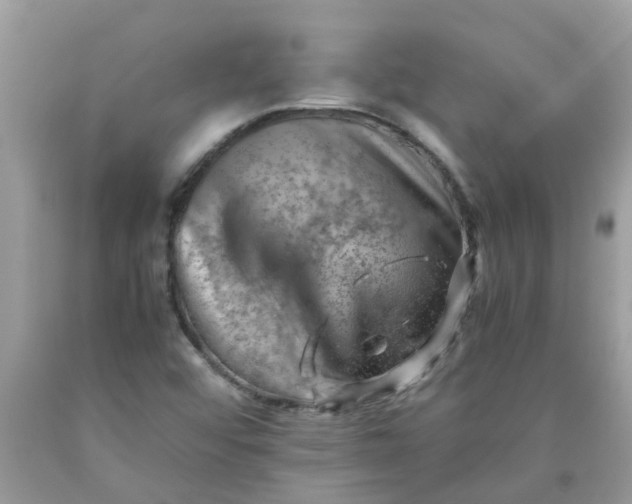 X0000090431456200707272121