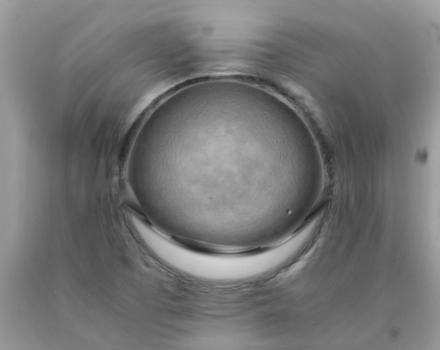 X0000090431457200707272121