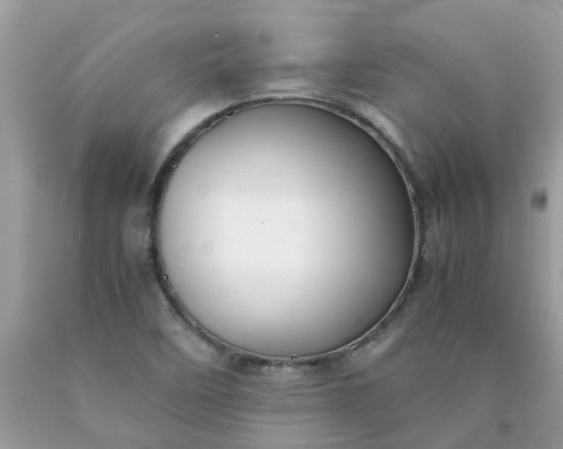 X0000090431458200707272121