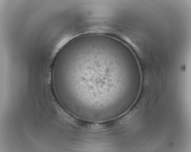 X0000090431459200707272121