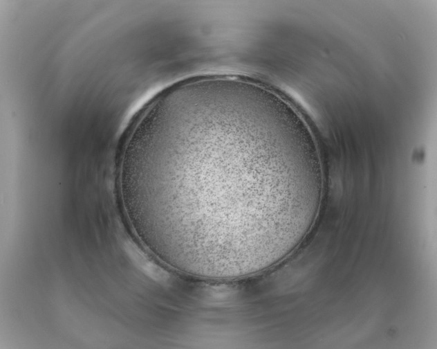 X0000090431460200707272121