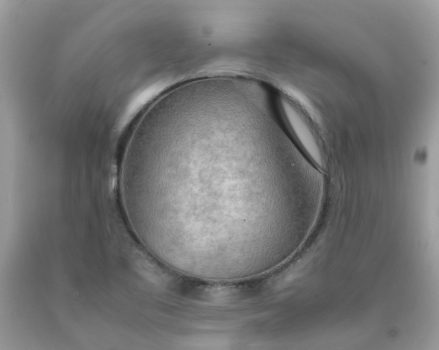 X0000090431461200707272121