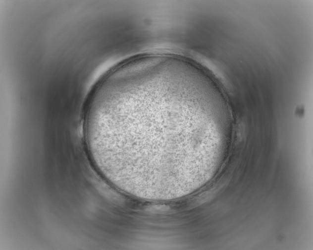 X0000090431462200707272121