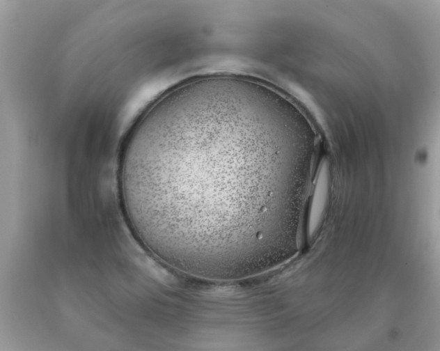 X0000090431464200707272121