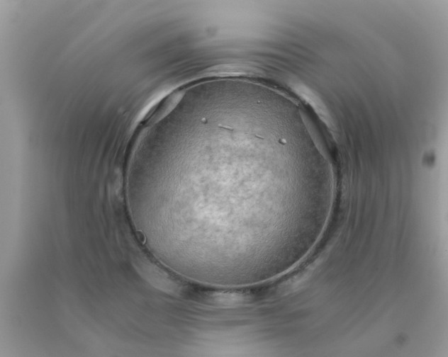 X0000090431465200707272121