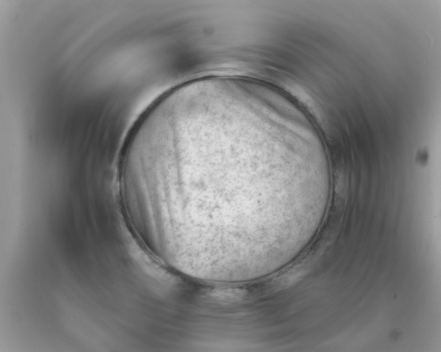 X0000090431466200707272121