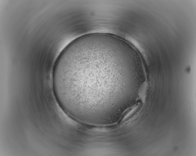 X0000090431468200707272121