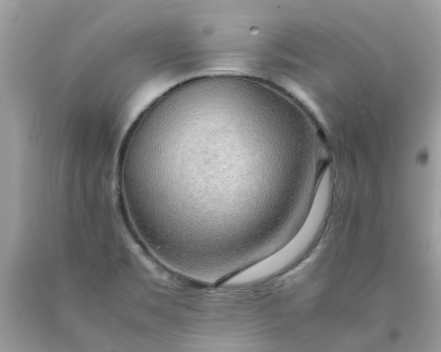 X0000090431469200707272121