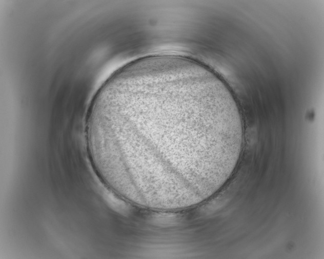 X0000090431470200707272121