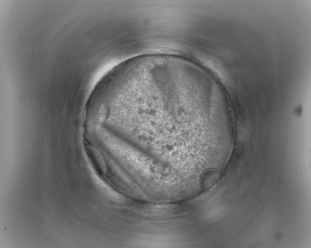 X0000090431471200707272121