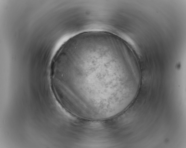 X0000090431472200707272121