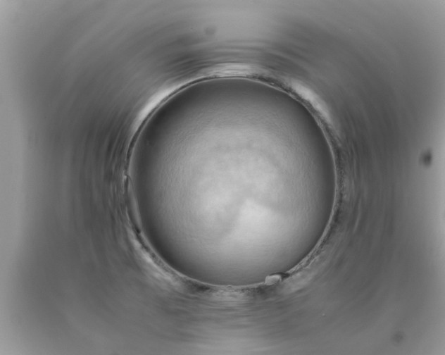 X0000090431473200707272121