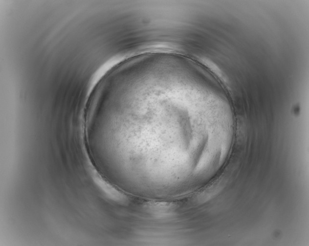 X0000090431474200707272121