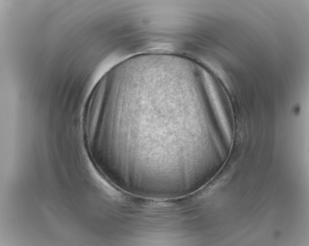 X0000090431475200707272121