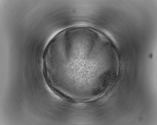 X0000090431476200707272121