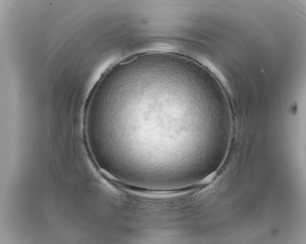 X0000090431477200707272121