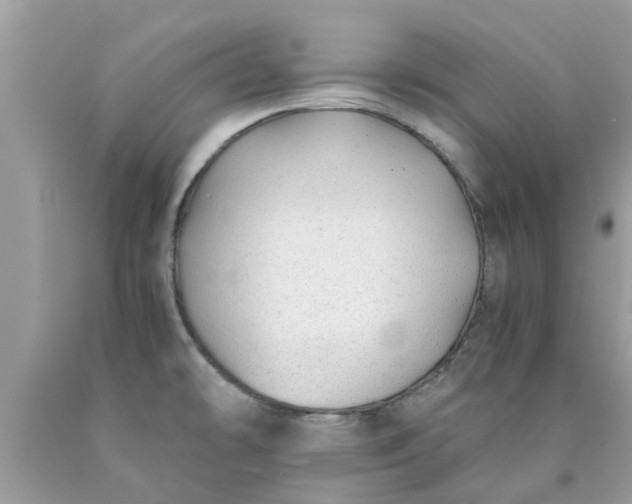 X0000090431478200707272121