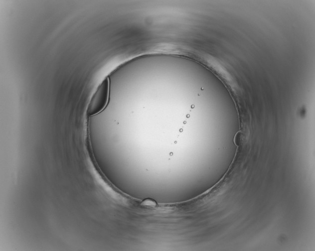 X0000090431479200707272121