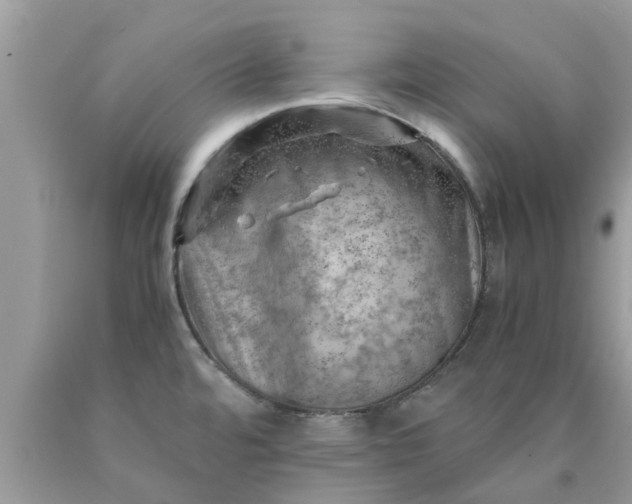 X0000090431480200707272121