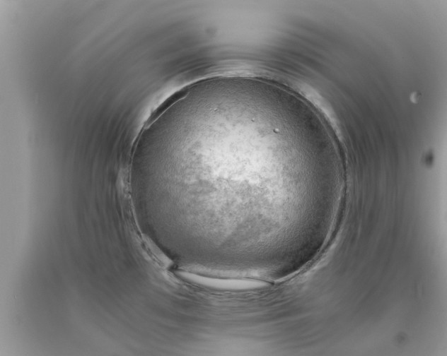 X0000090431481200707272121