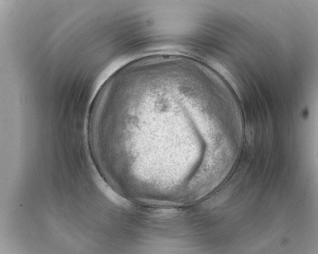 X0000090431482200707272121