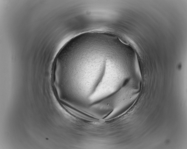 X0000090431483200707272121