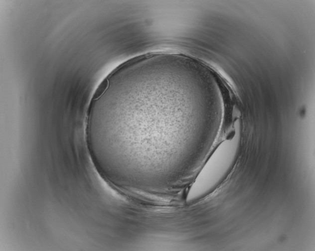 X0000090431484200707272121