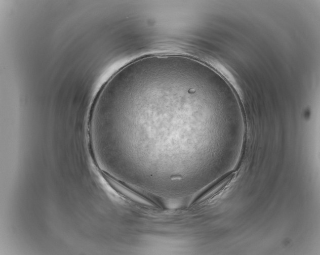 X0000090431485200707272121