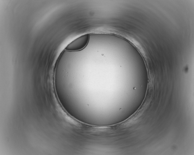 X0000090431486200707272121