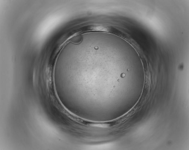 X0000090431487200707272121