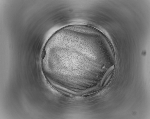 X0000090431488200707272121