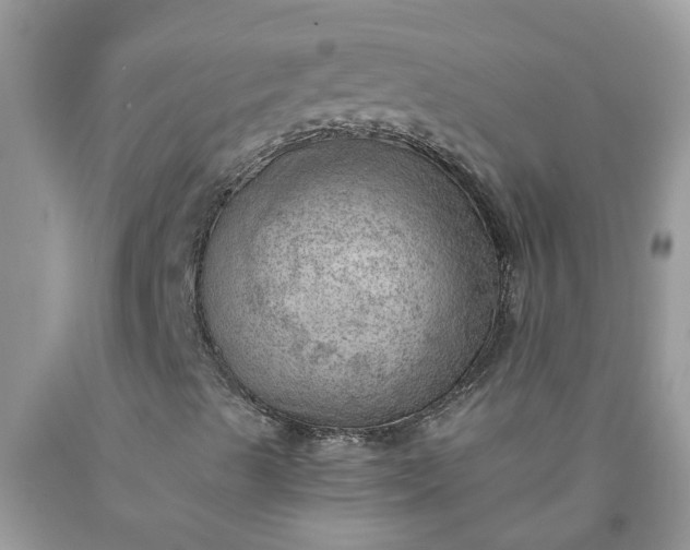 X0000090431489200707272120