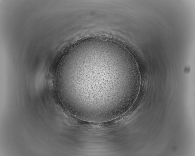 X0000090431490200707272120