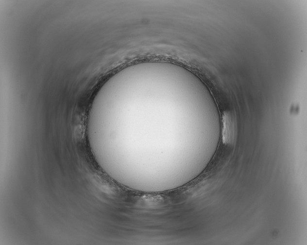 X0000090431491200707272120