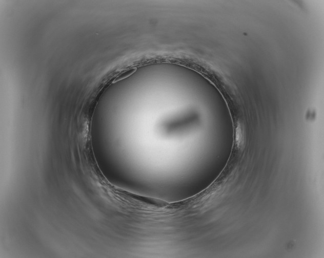 X0000090431492200707272120