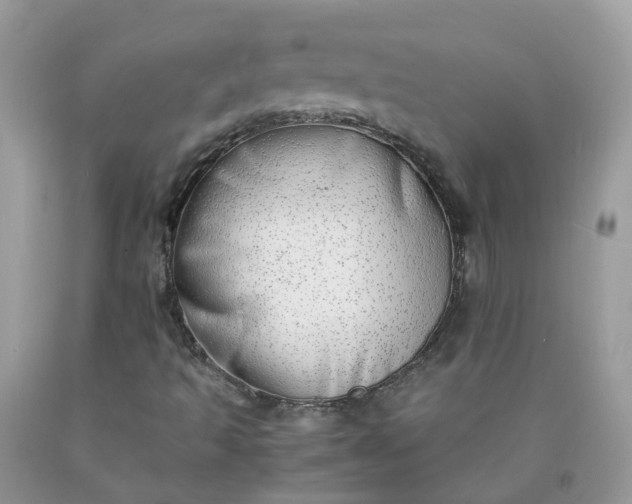 X0000090431493200707272120