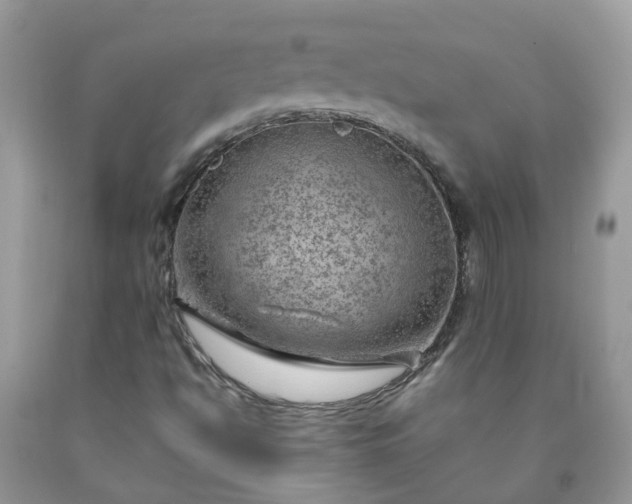 X0000090431494200707272120