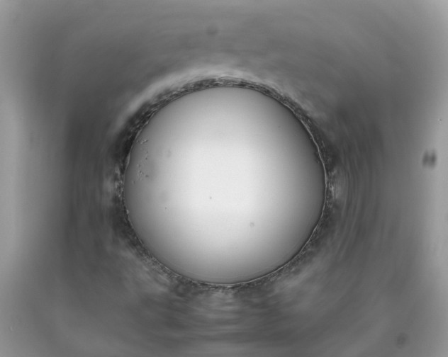 X0000090431495200707272120