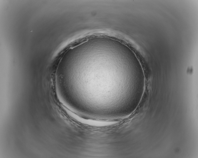 X0000090431496200707272120