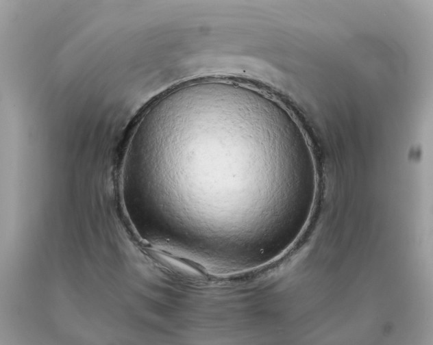 X0000090431497200707272120