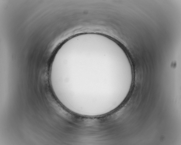 X0000090431498200707272120