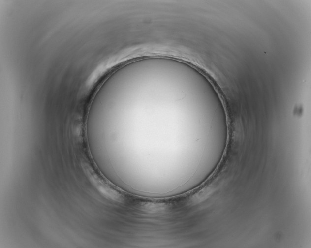 X0000090431499200707272120