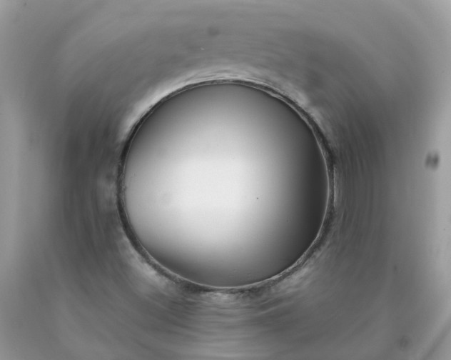 X0000090431500200707272120