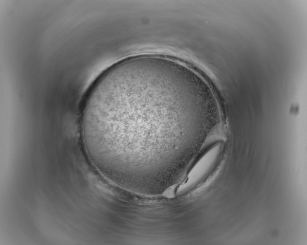 X0000090431501200707272120