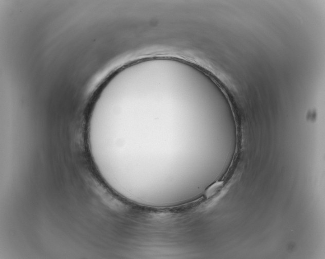 X0000090431502200707272120